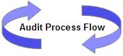 Audit Process Flow